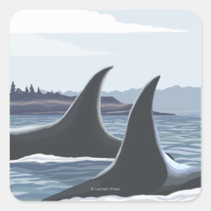 Sticker Carré Baleines #1 - Ketchikan, Alaska d'orque