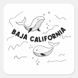 Sticker Carré Baleines de Basse-Californie