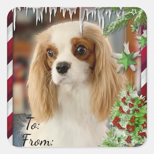 Sticker Carré Balise cadeau de Noël Blenheim Cavalier (Devant)