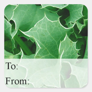 Sticker Carré Balise cadeau de Noël Feuille Green Holly