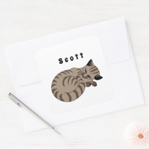 Sticker Carré Balise de nom de sommeil adorable Tan Tabby Kitten