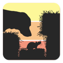 Barn Hunt Nose Work : travail du nez pour chien et