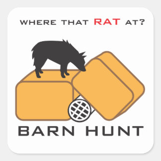 Sticker Carré Barn Hunt Schipperke