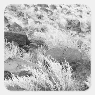 Sticker Carré Basalt Lava Rocks Sud-ouest Photo noir et blanc