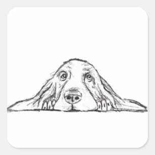 Sticker Carré basset hound noir blanc simple chiot yeux 