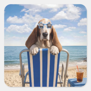 Sticker Carré Basset Hound sur chaise de plage