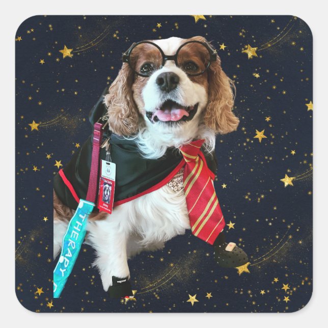 Sticker Carré Bâton Carré Blenheim Cavalier King Charles Wizard (Devant)