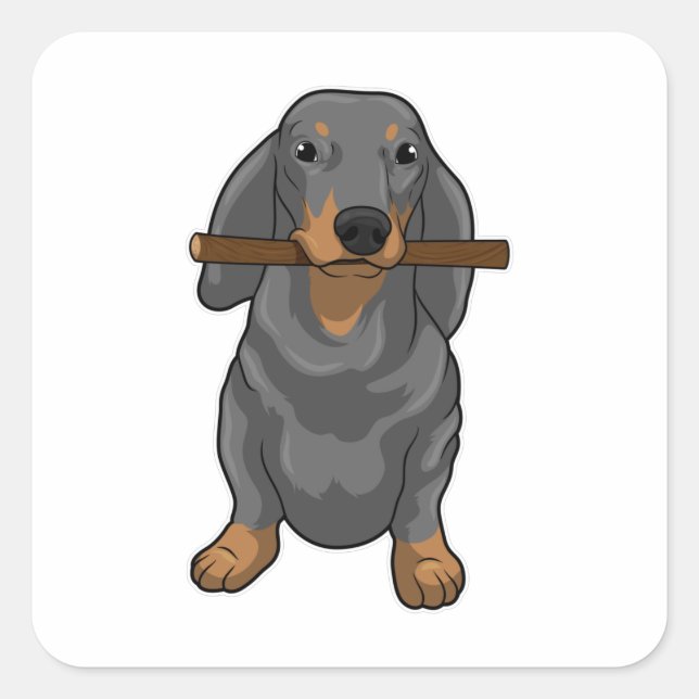 Sticker Carré Bâton Dachshund (Devant)