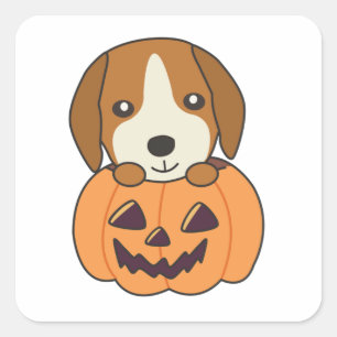 Sticker Carré Beagle En Chiens Doux Citrouilles Joyeux Halloween