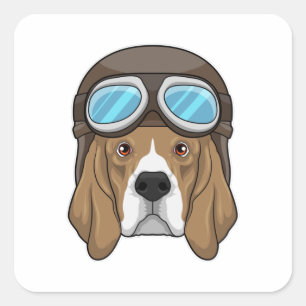 Sticker Carré Beagle en tant que pilote avec casquette pilote