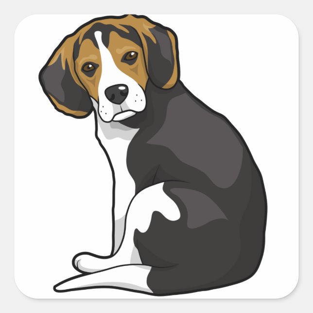 Sticker Carré Beagle Puppy (Devant)