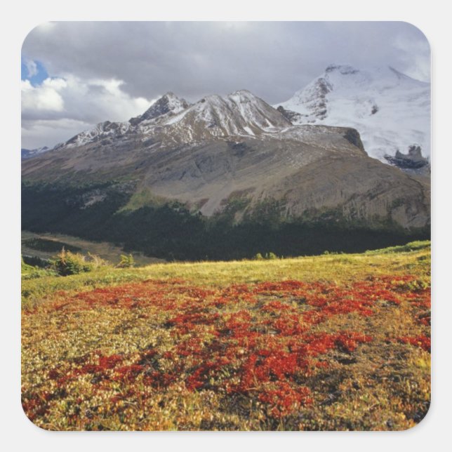 Sticker Carré Bearberry au début de l'automne Pic Athabasca dans (Devant)