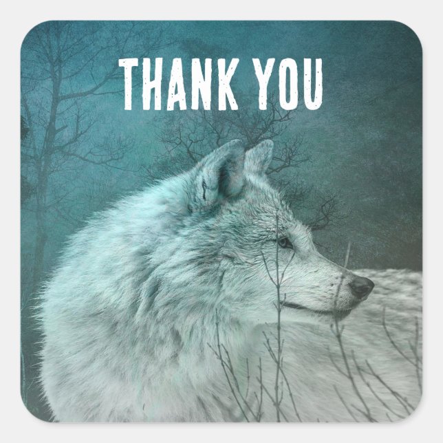 Sticker Carré Beau loup gris dans un Merci de forêt foncée (Devant)