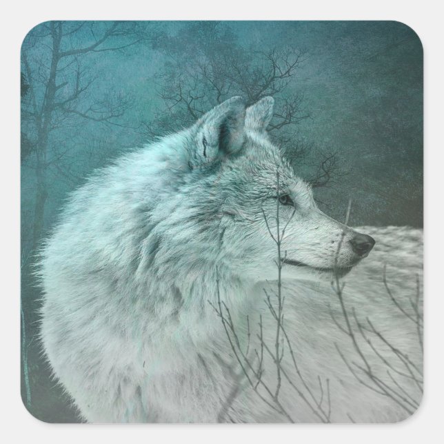 Sticker Carré Beau loup gris dans une forêt foncée (Devant)