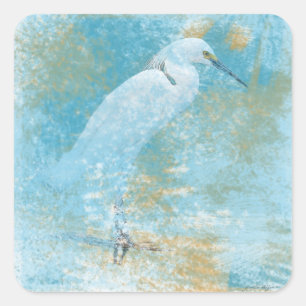 Sticker Carré Beau Oiseau côtier de l'aigrette neigeuse peinte