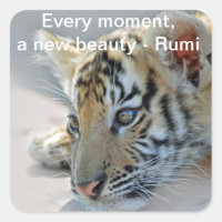 Beauté de Rumi