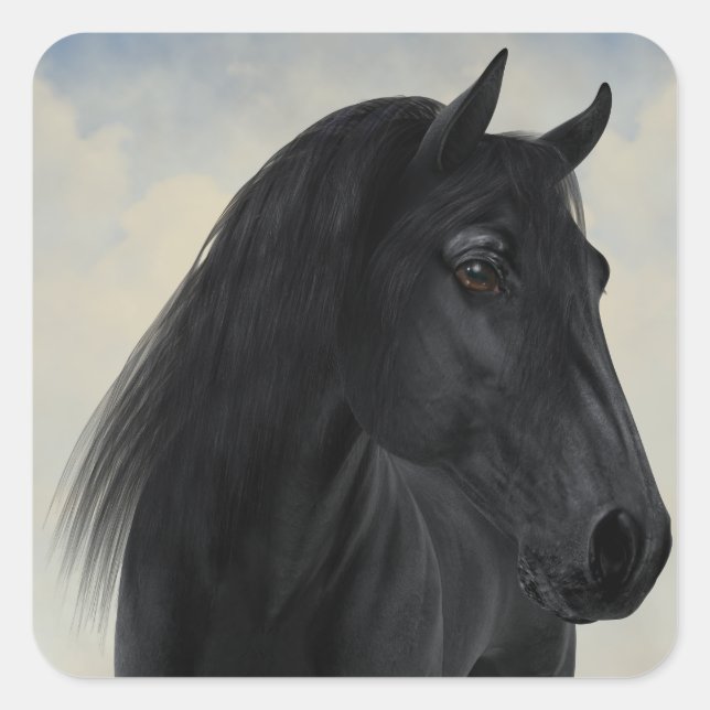Sticker Carré Beauté noire - Portrait de Cheval friésien noir (Devant)