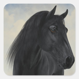 Sticker Carré Beauté noire - portrait frison noir de cheval