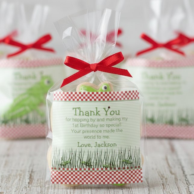 Sticker Carré Beaux Grasshoppers Anniversaire Fête Favoriser le  (Grasshopper Thank You Stickers for Bugs Birthday Party for Kids. Green, White, Red Checkered Pattern)