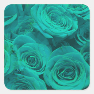 Sticker Carré Beaux roses verts turquoises, fleurs turquoises