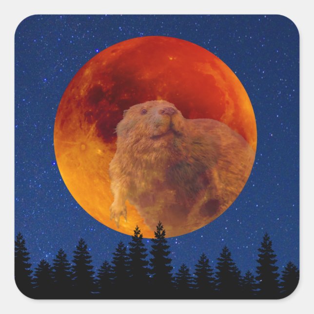 Sticker Carré Beaver Moon en novembre (Devant)