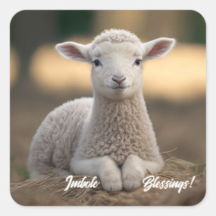 Sticker Carré Bébé agneau Imbolc Bénédictions