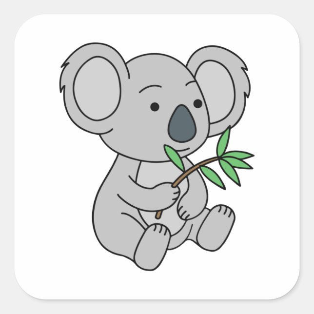 Sticker Carré Bébé mignon Koala avec Eucalyptus Feuilles (Devant)