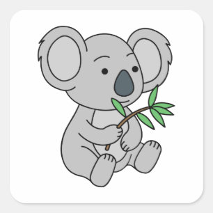 Sticker Carré Bébé mignon Koala avec Eucalyptus Feuilles