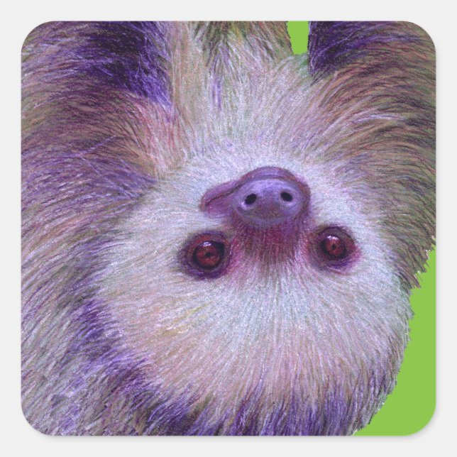 Sticker Carré Bébé Sloth (Devant)