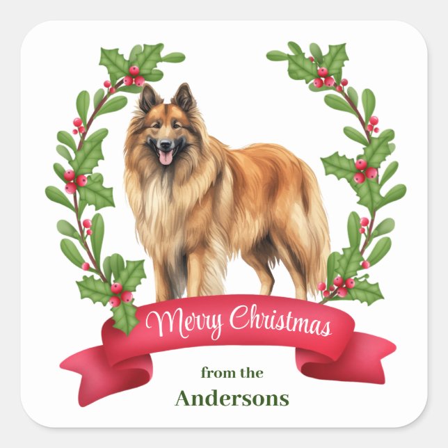 Sticker Carré Belge Tervuren Chien Holly Banner Noël (Devant)