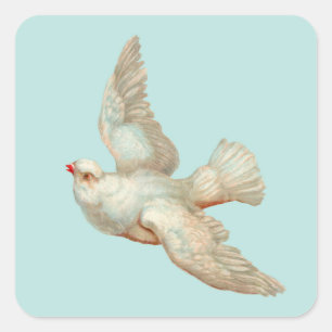 Sticker Carré belle colombe blanche