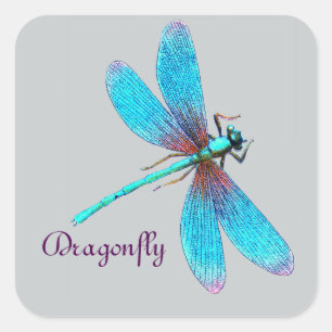 Sticker Carré Belle libellule bleu clair Turquoise