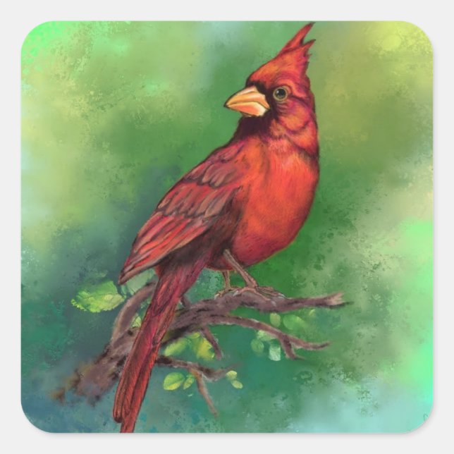 Sticker Carré Belle peinture d'oiseaux du Cardinal rouge du Nord (Devant)