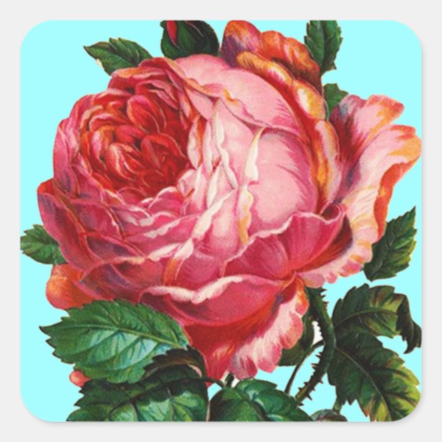 STICKER CARRÉ BELLE ROSE ROSE ROSE (Devant)