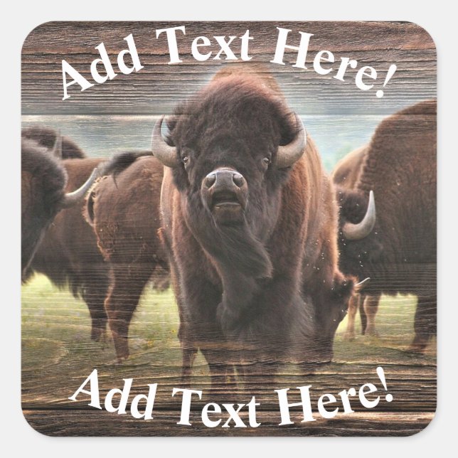 Sticker Carré Belle Trousse De Buffalo (Devant)