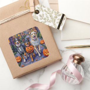 Sticker Carré Berger Australien faisant Trick-or-Treat pour Hall