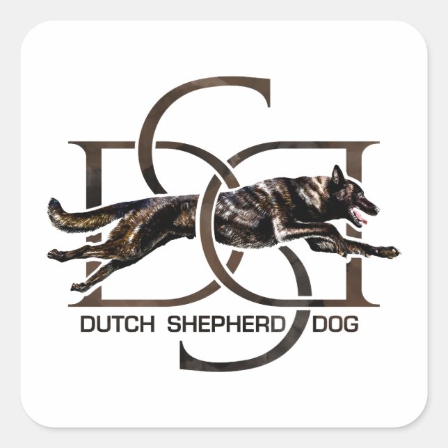 Sticker Carré Berger néerlandais - Hollandse Herdershond (Devant)