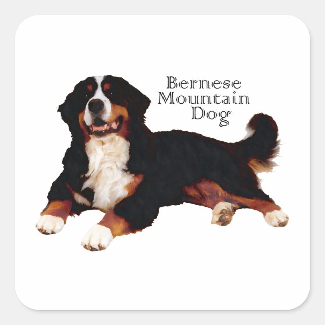 Sticker Carré BERNESE Mt. Dog (Devant)