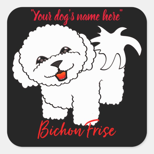 Sticker Carré Bichon Frise (Devant)