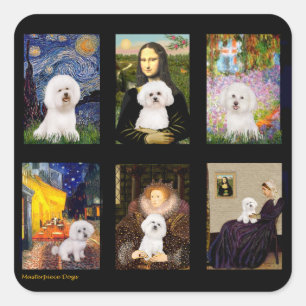 Sticker Carré Bichon Frise Composite