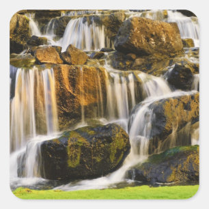 Sticker Carré Big Island, Hawaii. ruisseau en cascade, Big Islan