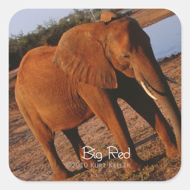 Sticker Carré Big Red (Devant)