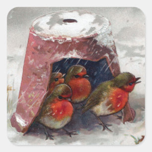 Sticker Carré Birdhouse Flowerpot pour Robins européens