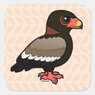 Sticker Carré Birdorable Bateleur