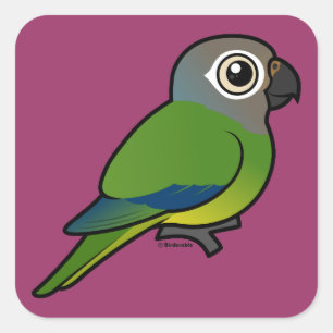 Sticker Carré Birdorable Sombre-a dirigé Conure