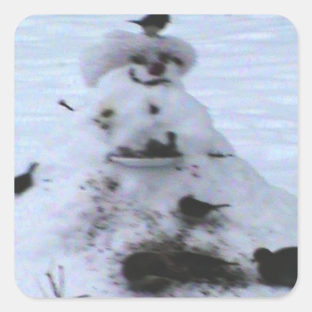 Sticker Carré Birdy (Devant)