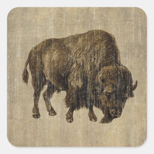Sticker Carré Bison vintage