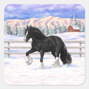 Sticker Carré Black Gypsy Vanner Irlandais Cob Brouillon Cheval 