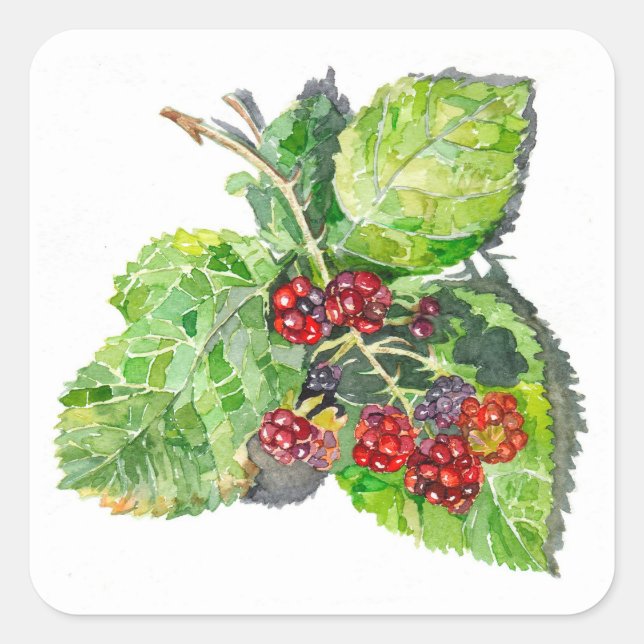 Sticker Carré BlackBerry (Devant)