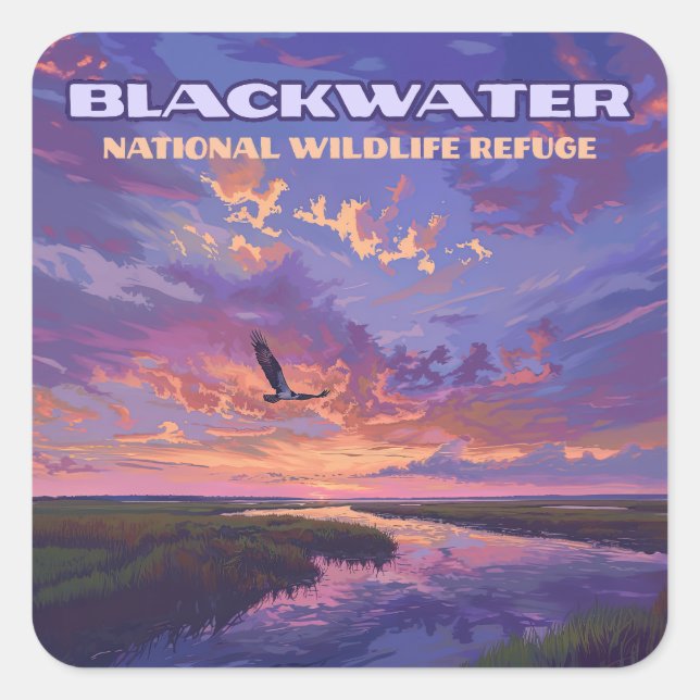 Sticker Carré Blackwater National Wildlife Refuge Park Maryland (Devant)